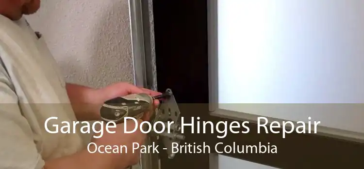 Garage Door Hinges Repair Ocean Park - British Columbia