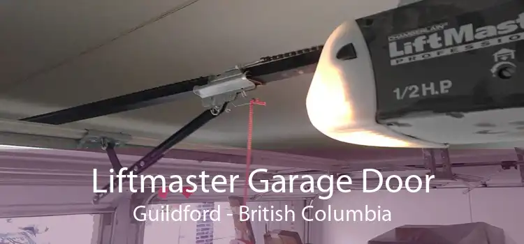 Liftmaster Garage Door Guildford - British Columbia