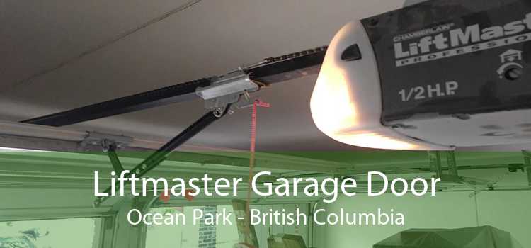 Liftmaster Garage Door Ocean Park - British Columbia