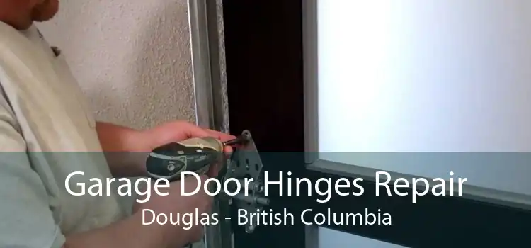 Garage Door Hinges Repair Douglas - British Columbia