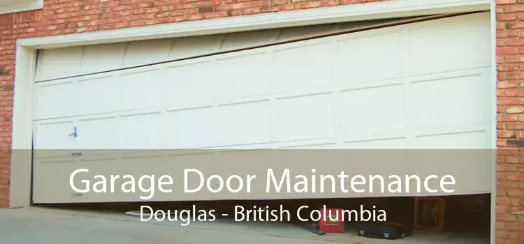Garage Door Maintenance Douglas - British Columbia