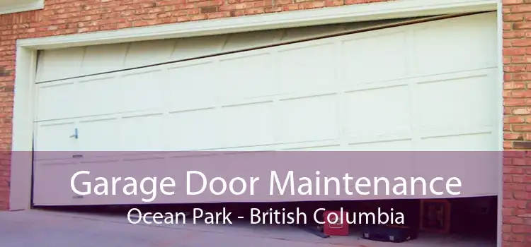 Garage Door Maintenance Ocean Park - British Columbia