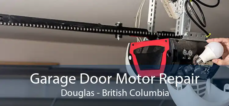 Garage Door Motor Repair Douglas - British Columbia