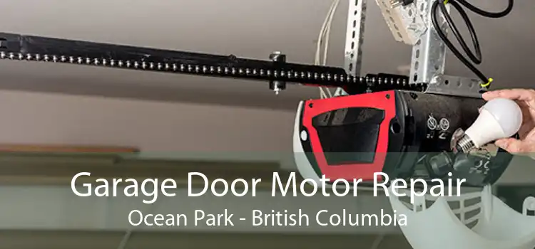Garage Door Motor Repair Ocean Park - British Columbia