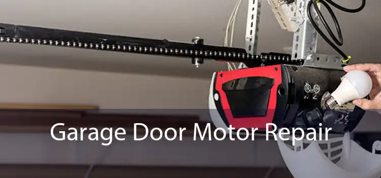 Garage Door Motor Repair 