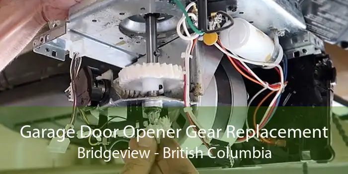 Garage Door Opener Gear Replacement Bridgeview - British Columbia