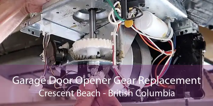 Garage Door Opener Gear Replacement Crescent Beach - British Columbia