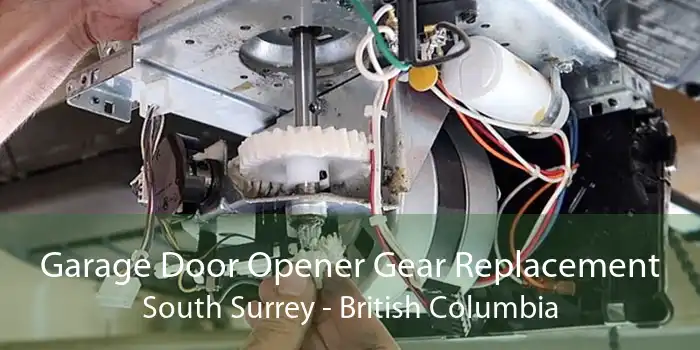 Garage Door Opener Gear Replacement South Surrey - British Columbia