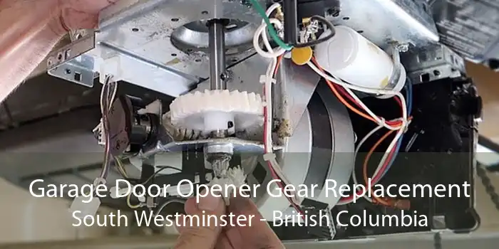 Garage Door Opener Gear Replacement South Westminster - British Columbia