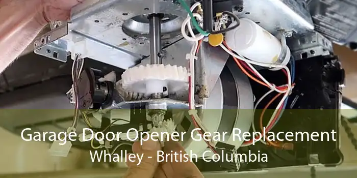 Garage Door Opener Gear Replacement Whalley - British Columbia