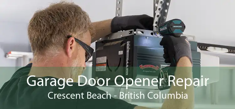 Garage Door Opener Repair Crescent Beach - British Columbia