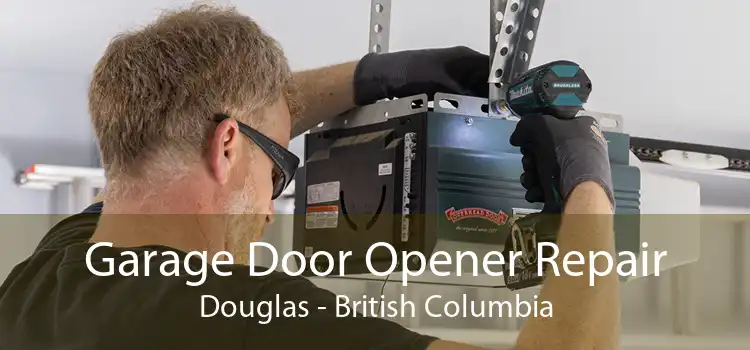 Garage Door Opener Repair Douglas - British Columbia