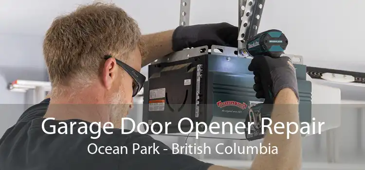 Garage Door Opener Repair Ocean Park - British Columbia