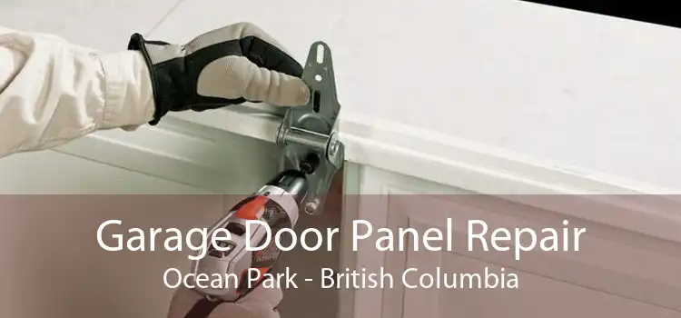 Garage Door Panel Repair Ocean Park - British Columbia