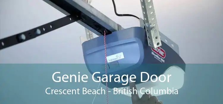 Genie Garage Door Crescent Beach - British Columbia
