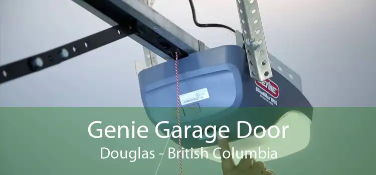 Genie Garage Door Douglas - British Columbia