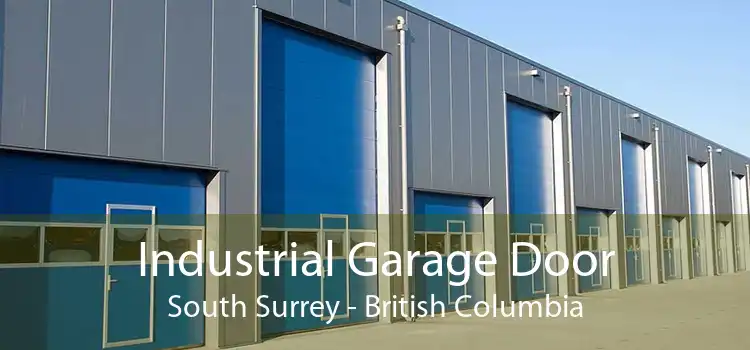 Industrial Garage Door South Surrey - British Columbia