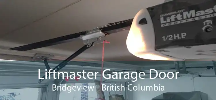 Liftmaster Garage Door Bridgeview - British Columbia