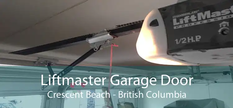 Liftmaster Garage Door Crescent Beach - British Columbia