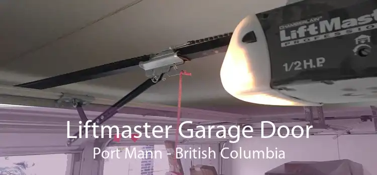 Liftmaster Garage Door Port Mann - British Columbia
