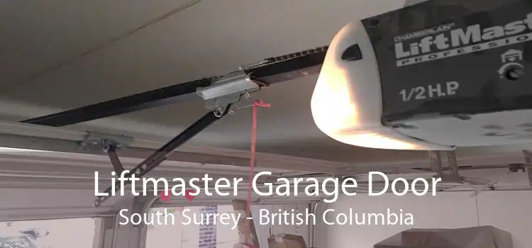 Liftmaster Garage Door South Surrey - British Columbia