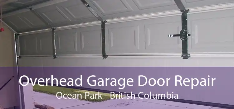 Overhead Garage Door Repair Ocean Park - British Columbia