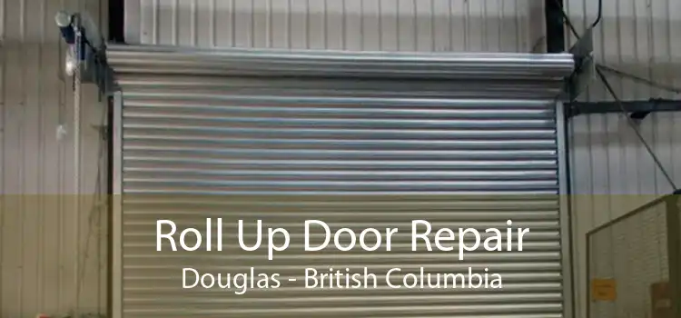 Roll Up Door Repair Douglas - British Columbia